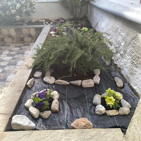 Alexia's House Apartamento *