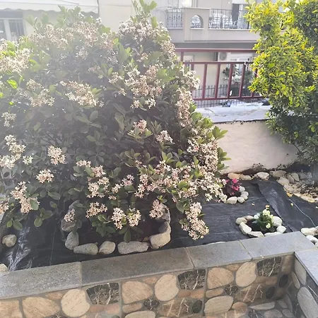 Alexia's House - 400m From Kalamitsa